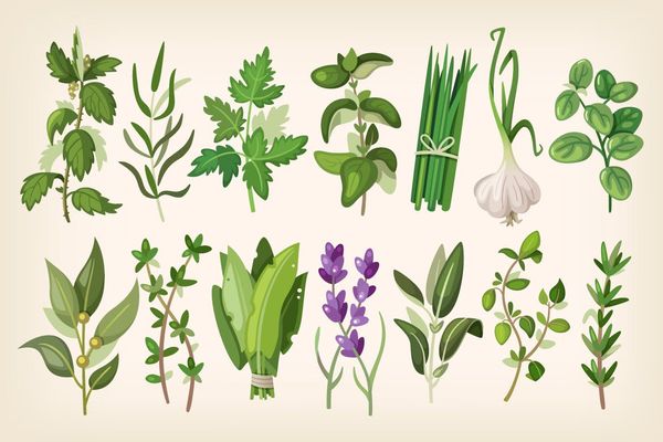 $ Common Herbs