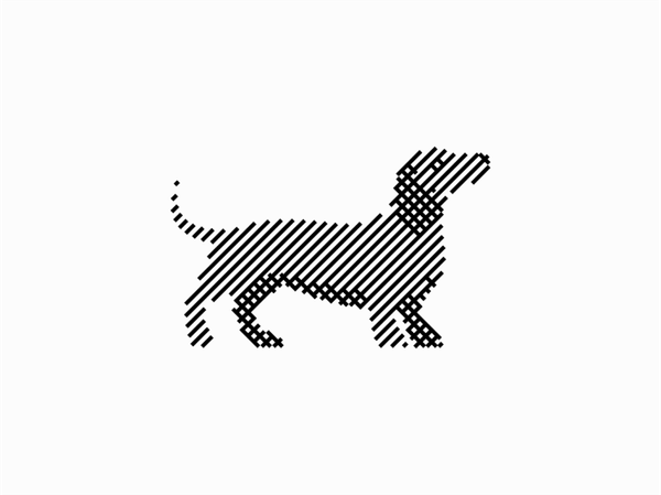 Dachshund