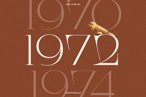 TAN - NIGHTINGALE | Numbers