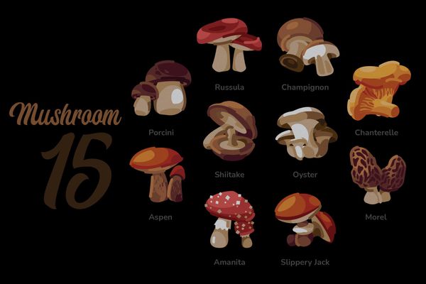 $ Mushrooms