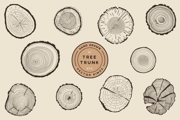 Tree Growth Rings