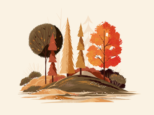 Fall Foliage