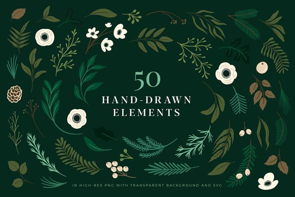 Christmas Botanical Illustrations | Leaves