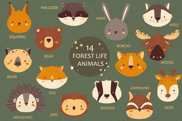 Forest Portrait Animals Set