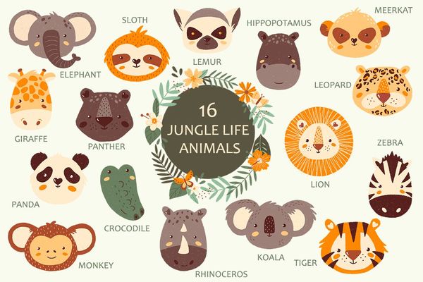 Jungle & Safari Portrait Animals Set
