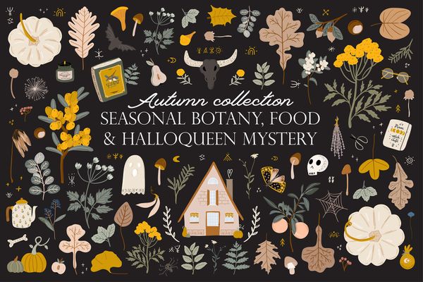 Autumn botany, food & mystery