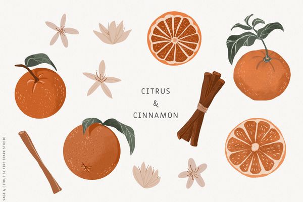 Sage Green Citrus Illustrations