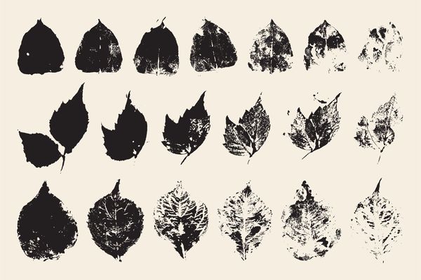 Stamped Prints of Leaves