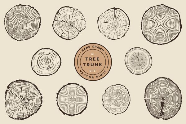 Tree Growth Rings