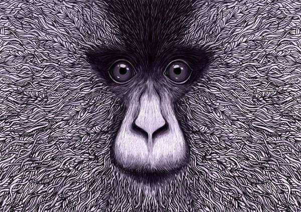 ANIMAL CONSERVATION