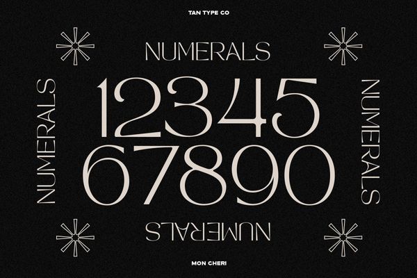 MON CHERI | Stunning Display Fonts