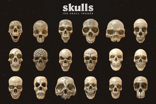 Skulls