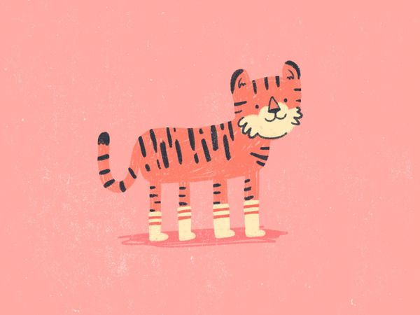 Tiger in Socks