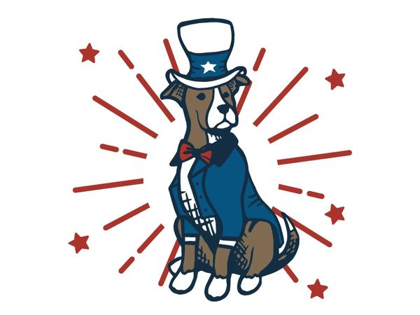 Uncle Sam Pitbull