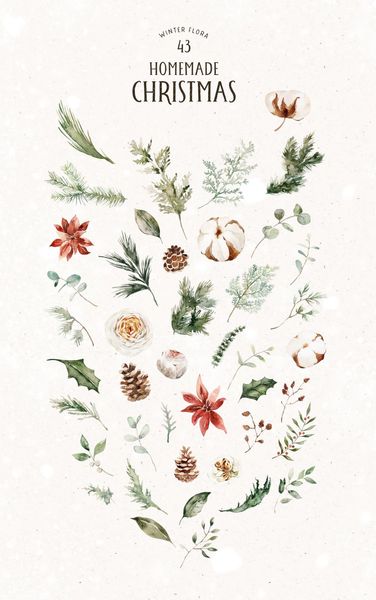 HOMEMADE CHRISTMAS Aesthetics | Botany