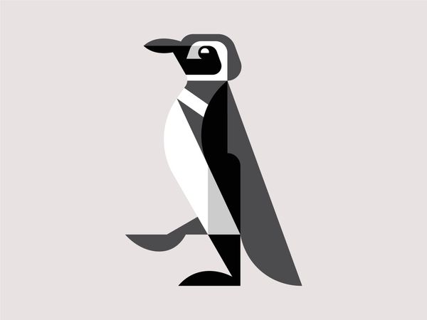 Magellanic Penguin