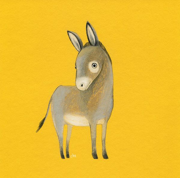 Illustration FARM | Donkey