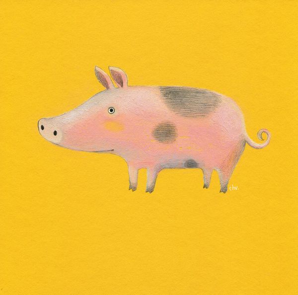 Illustration FARM | Piggy