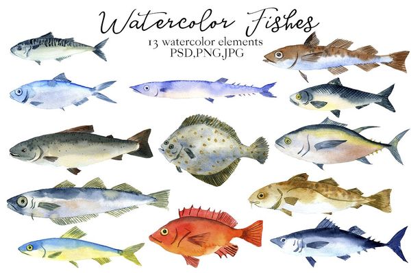 Watercolor Fishes