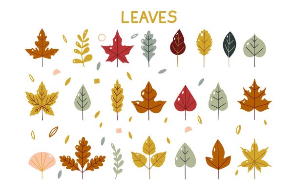 Leaves