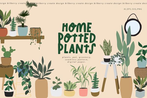 $ Home potted plant art set