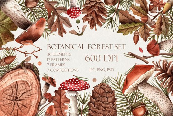 Watercolor botanical forest set