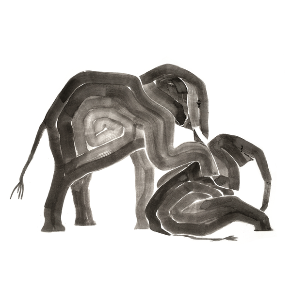 Elephants