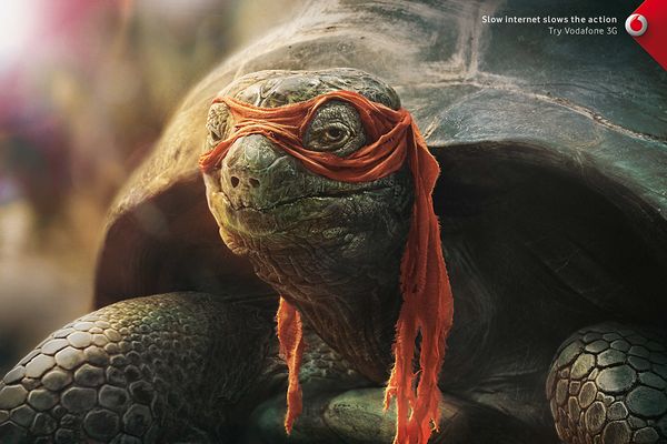 Ninja Turtle