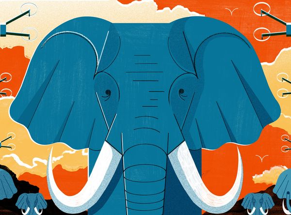 Can AI Drones Save Africa's Elephants
