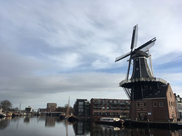 2. Windmills, beer, etc