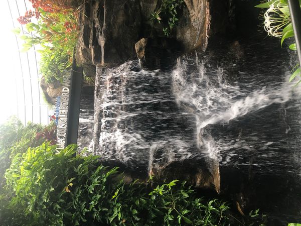 07. Kuching to Surbiton