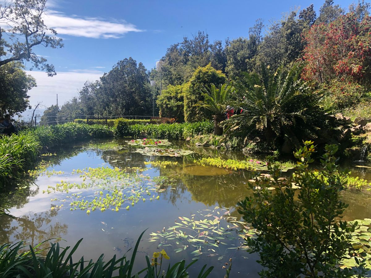 03. Ischia and the giardini la Mortella