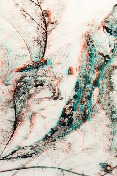 181114_HAM_aaf_dmzio_1021-4