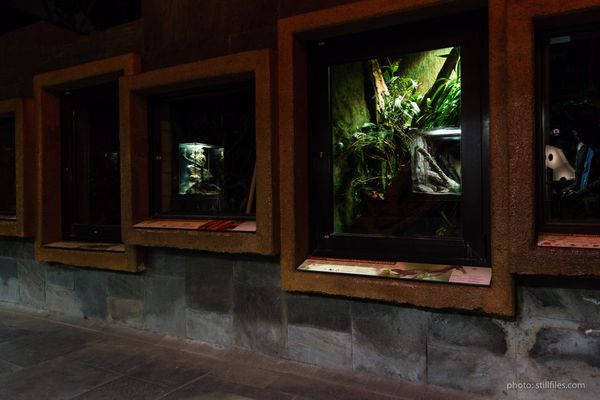 1701_CGN_imm_dmzio_09668