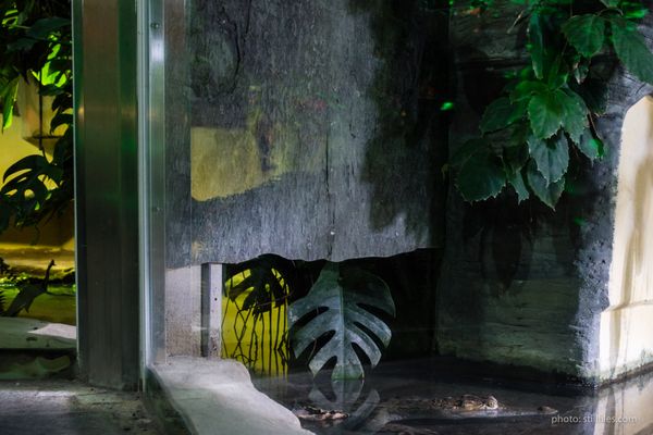 1701_CGN_imm_dmzio_09670