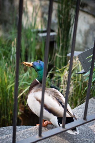 1704_MXP_milandesignweek_dmzio_0091