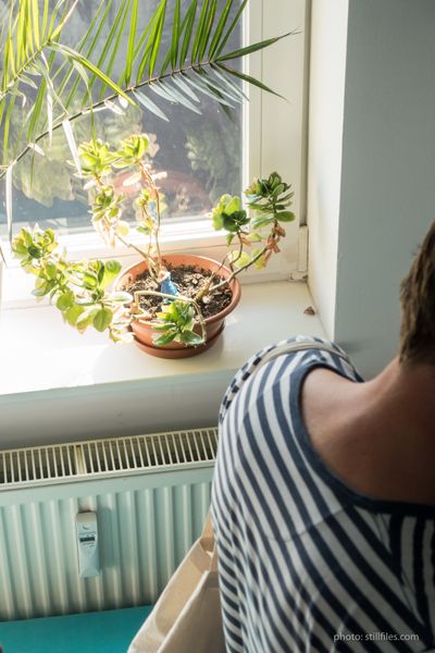 1609_HAM_040x040_dmzio_05806