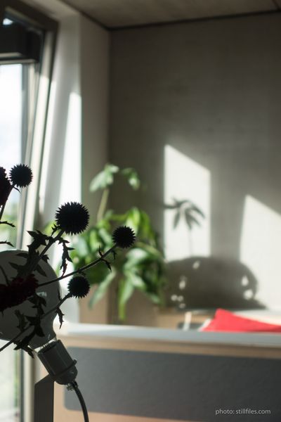 1607_HAM_tableware_dmzio_03550