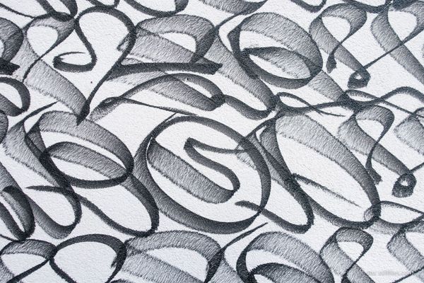 1701_CGN_imm_dmzio_09691