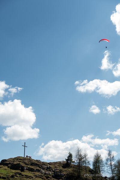 1605_AT_40er_tim_dmzio_02259