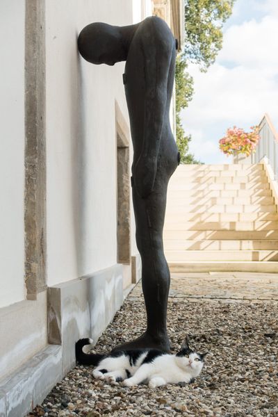 1710_HAJ_hall_art_foundation_derneburg_dmzio_76