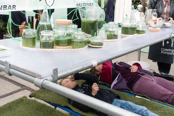 1710_EIN_dutchdesignweek_2017_dmzio_08115 2