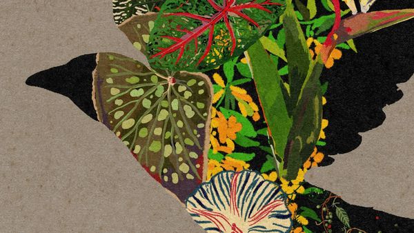 Irresistible Force X Coldcut - 'Autumn Leaves Return' (Official Audio)