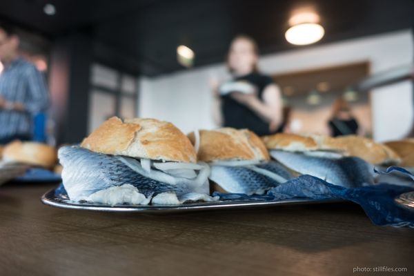 1806_HAM_040x040_dmzio_133