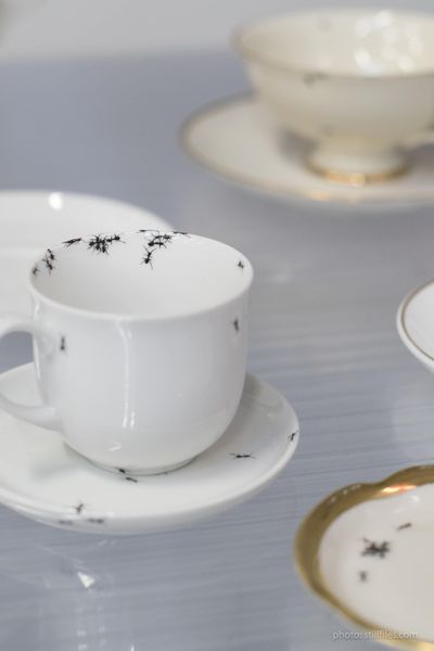 2001_CGN_imm_cologne_2020_dmzio_6543