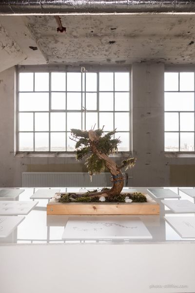 1710_EIN_dutchdesignweek_2017_dmzio_08174