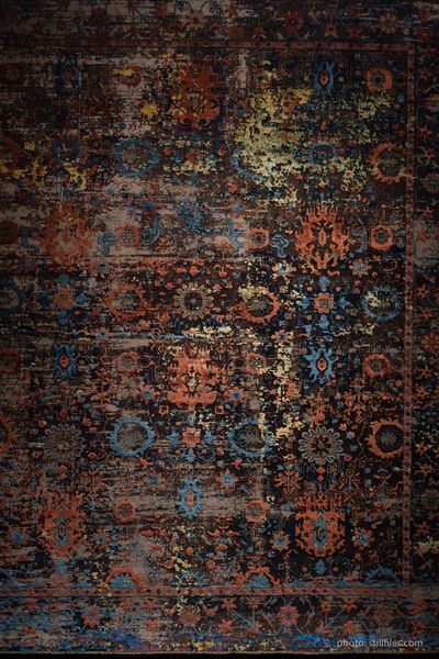 1701_CGN_imm_dmzio_09484