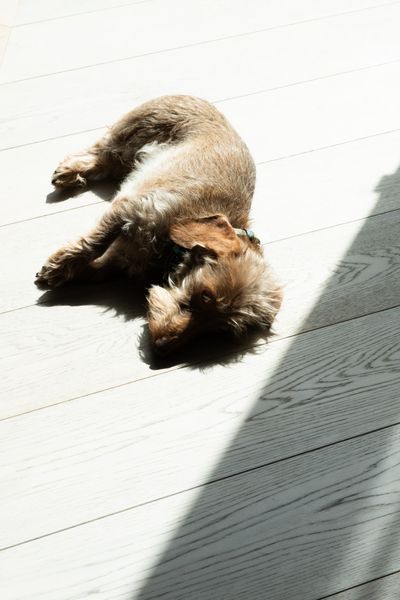 2304_HAM_DH_XMAS_-159