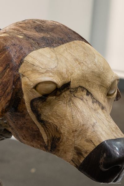 181114_HAM_aaf_dmzio_1011-4