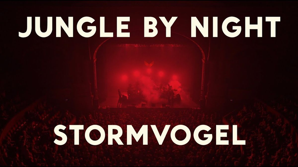 Jungle by Night - Stormvogel